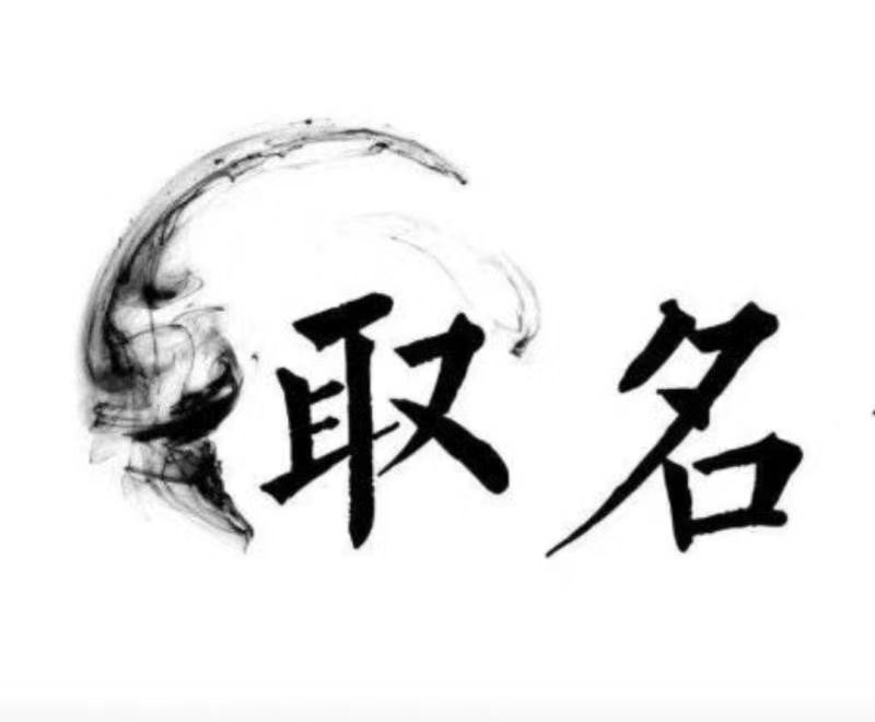  洪洞宝宝取名 大师一对一人工起名